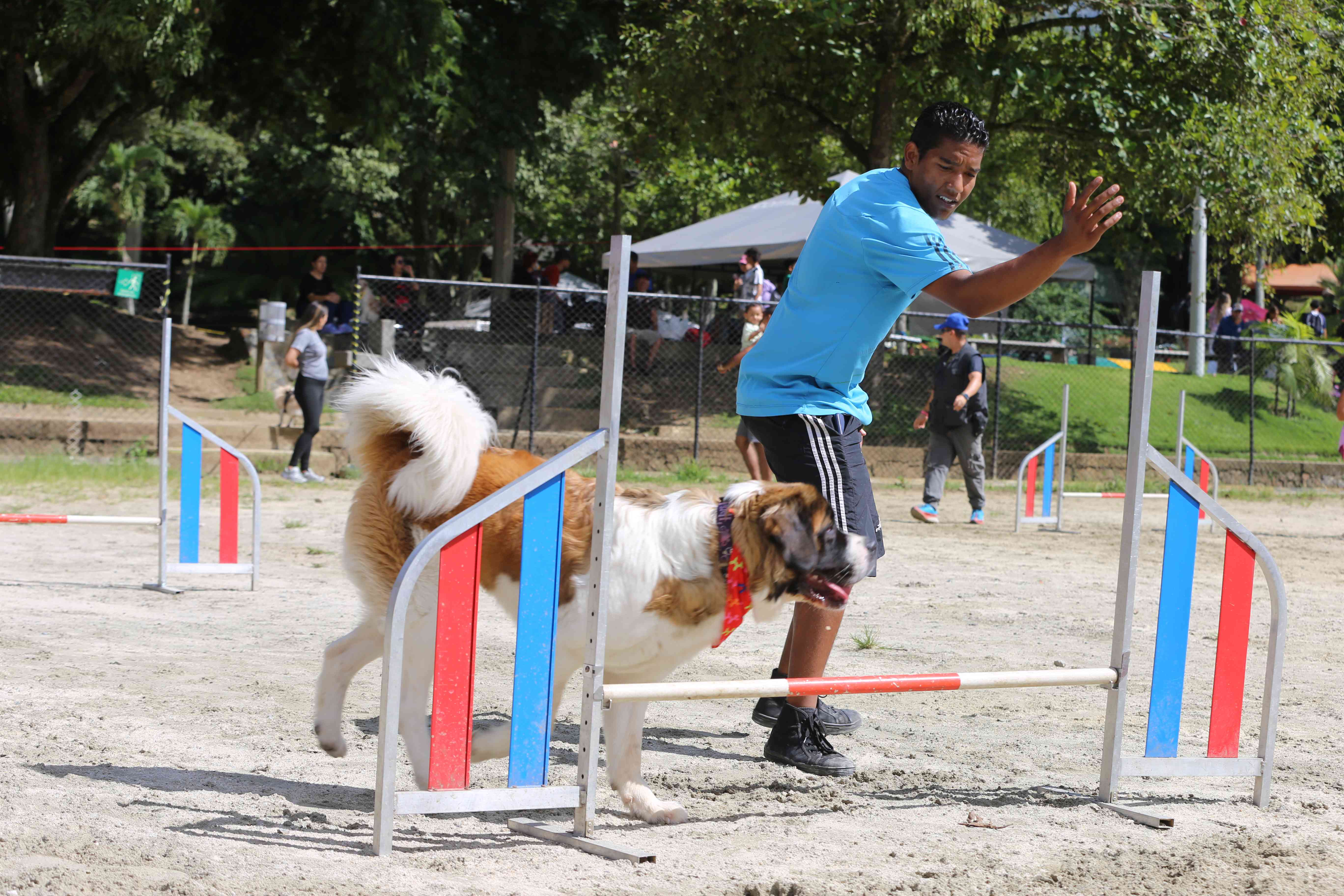 Fotografía de deportista de Agility en el Festival de Escuelas de Adrenalina